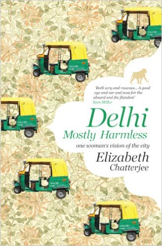 Delhi - Mostly Harmless: One Womans Vision of the City